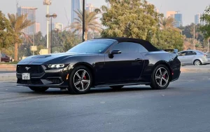 Ford Mustang Convertible 2024 photo 3