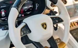 Lamborghini Urus Mansory 2024 صورة 4