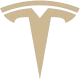 Tesla logo